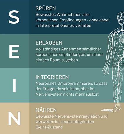 SEIN-Modell SEIN-Modell