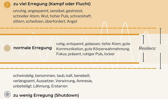 Stress-Toleranzfenster des Nervensystems