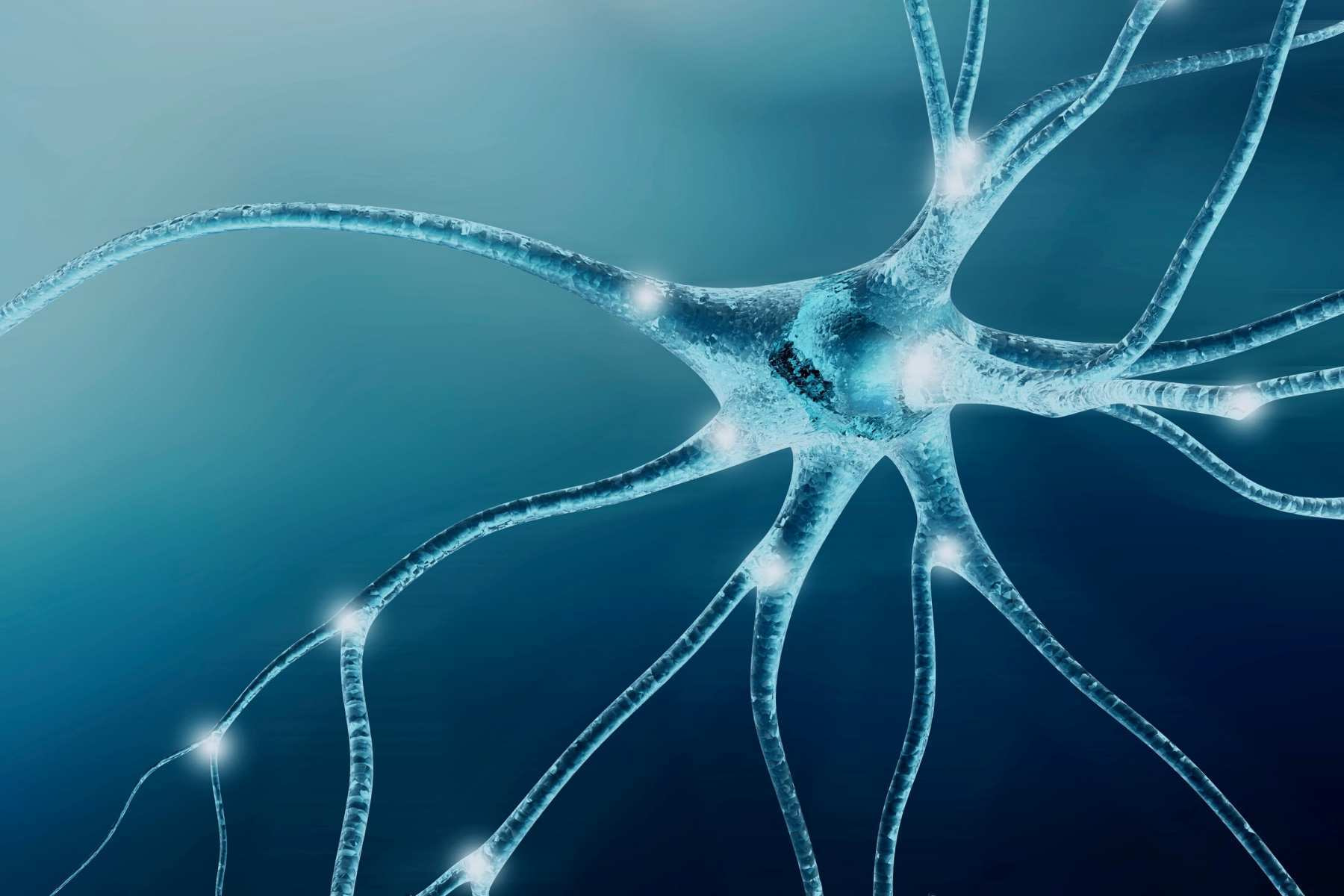 Das Nervensystem umprogrammieren... und was es dafür braucht