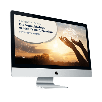 Mockup-Video-Training