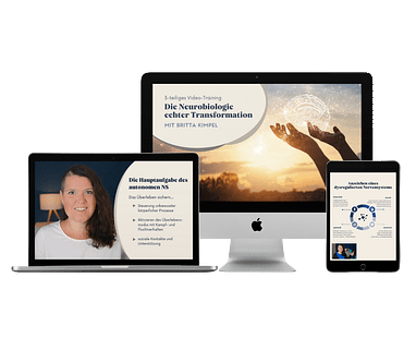 Video-Training Mockup