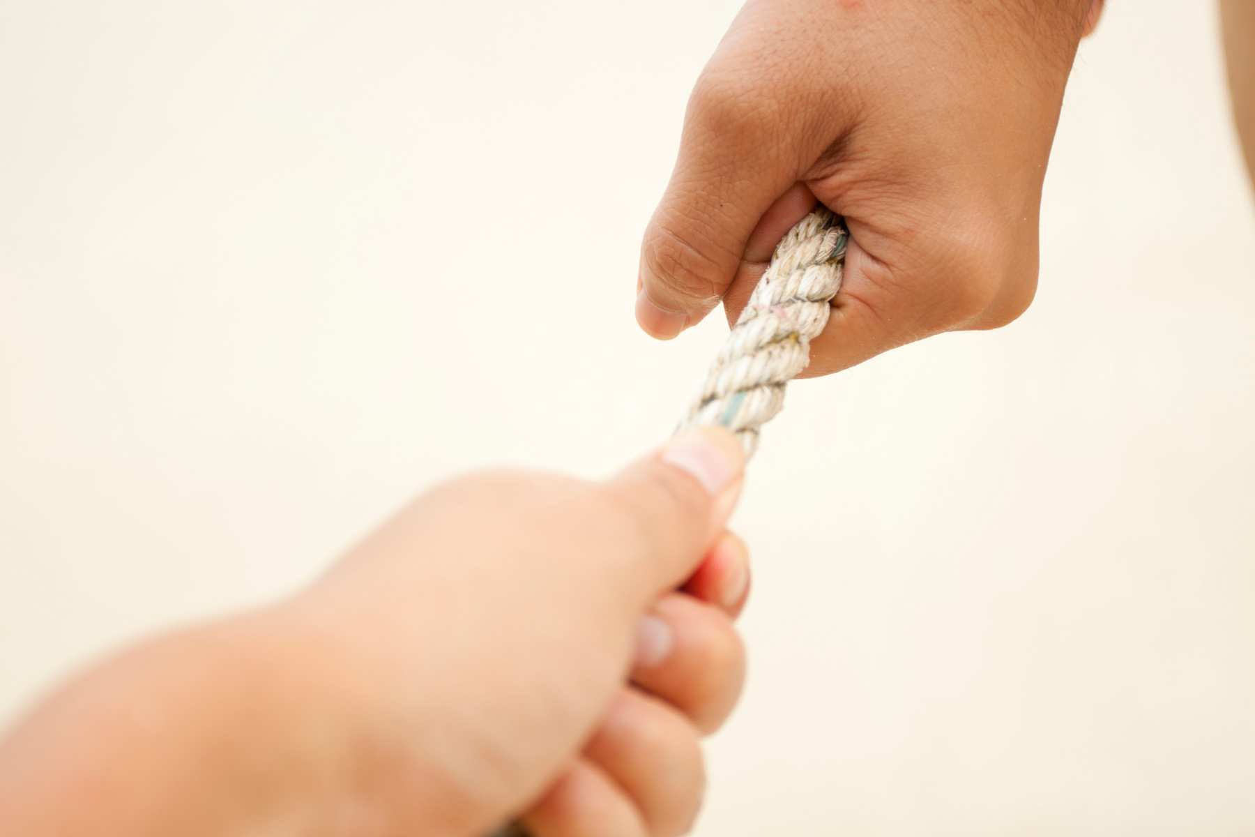 DIE INNERE ZERRISSENHEIT BERWINDEN visual data 6